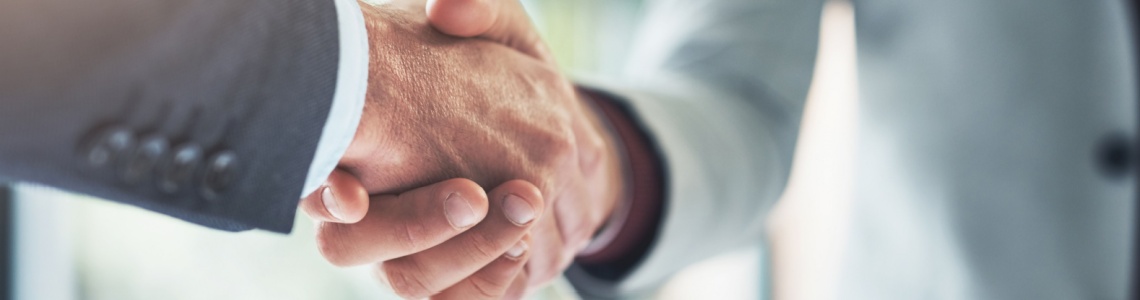 Two people shaking hands.