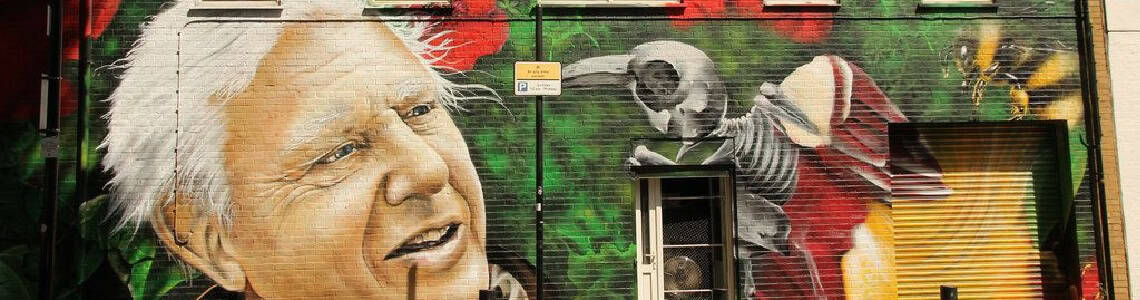 A mural of David Attenborough.